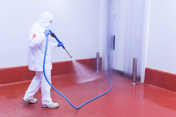 Professional Pressure Washing in Juarez, TX